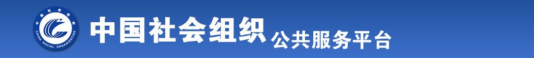 擦逼网网址全国社会组织信息查询